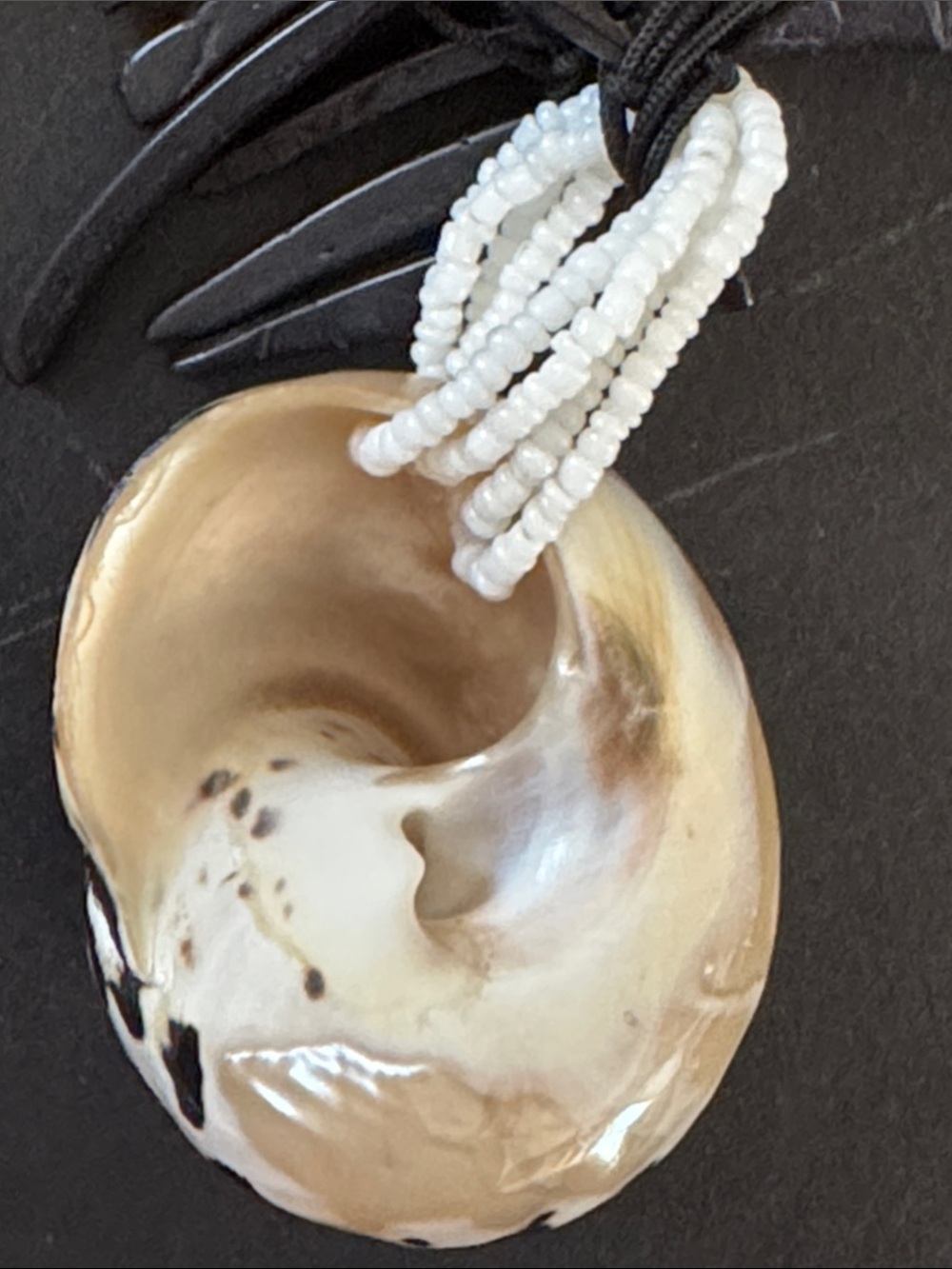 Tribal Bohemian Shell Necklace - Picture 5 of 9